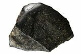 Polished Dinosaur Bone (Gembone) Section - Utah #151436-2